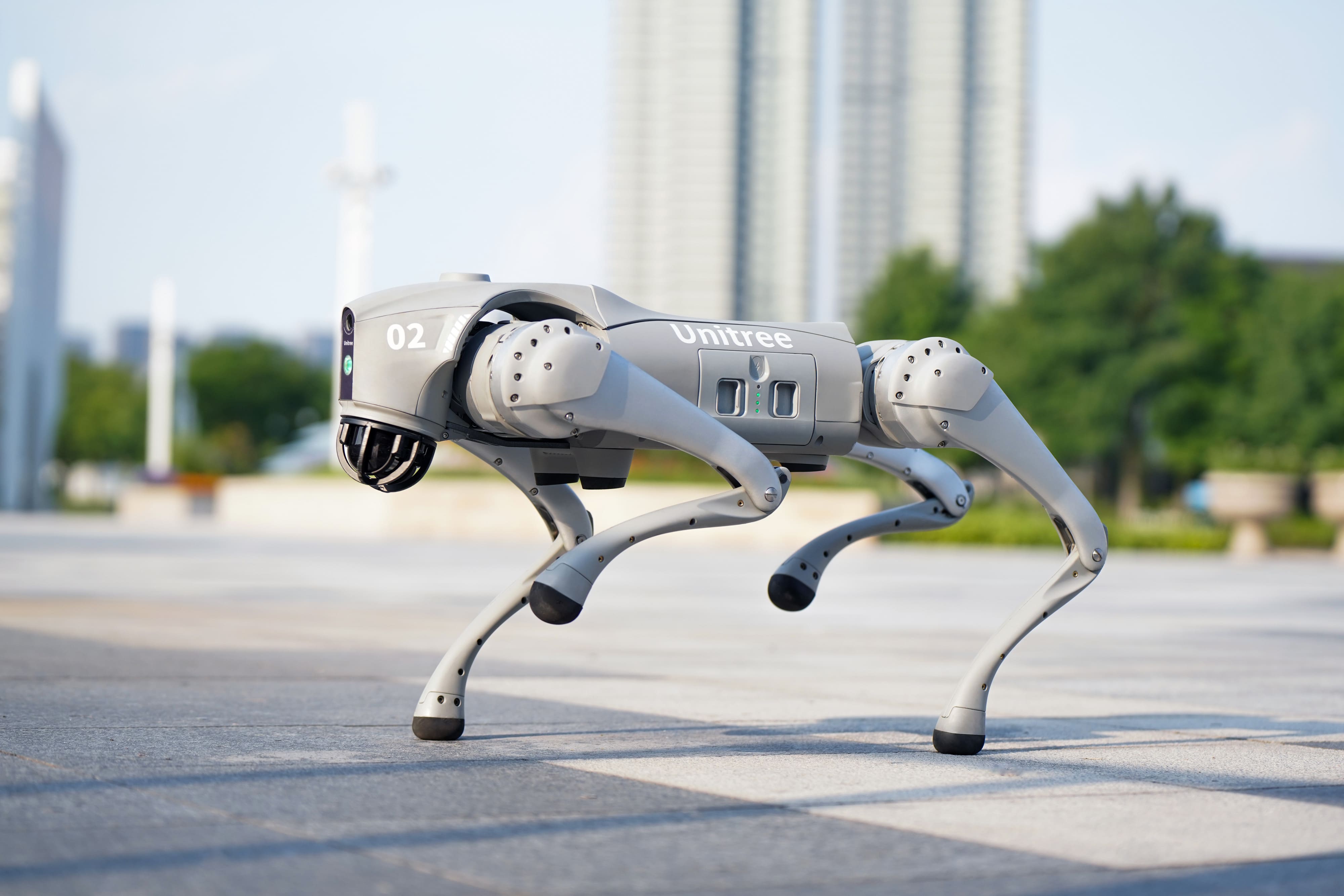 Unitree Go2 Минск (7).jpg Unitree Go2 Минск (7).jpg